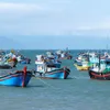 Vietnam's marine development result discussed