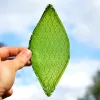 Vietnam successfully develops artificial leaf