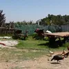 A village of Vietnamese women in Morocco