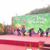 Festival honors folk cultures in Sapa