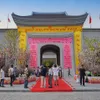 Yen Tu Cherry Blossom & Yellow Apricot Flower Festival 2018