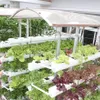 First hydroponic farm in Dong Thap province