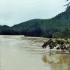 Thousands of hectares of paddy rice submerged