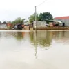 Floods threaten dykes in Binh Dinh