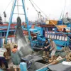 $3.4 mil support for fishermen in Quang Binh