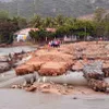 Land erosion affects North-South railway after storm Usagi