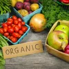 Potential for organic agriculture remains high