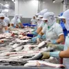 Vietnam's frozen fish fillets to face record high antidumping duties in U.S.