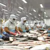 Vietnam complains to WTO about U.S fish tariffs