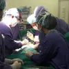 Vietnam-Germany hospital starts new treatment for scoliosis