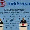 Russian President attends Istanbul ceremony for Turkish stream pipeline