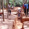 Ancient tower excavated in Binh Dinh province