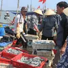 Requirements for vietnam's seafood exports to the EU