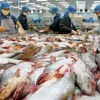 EC starts inspection of Vietnam's fisheries