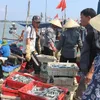 Measures to prevent illegal fishing