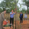 Quang Tri launches tree-planting festival