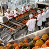 Fruit, vegetable exports up 33.4 percent in Q1