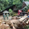 Vietnam promotes disasters mitigation capability