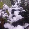 Snow pellets fall on Mount Fansipan