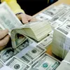 Measures prepared to stabilize foreign currency market