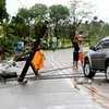 Mangkhut becomes the 6th tropical typhoon to hit the East Sea