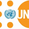 UNFPA support for domestic & gender-based violence response