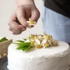 A young man and his kitchen of vegan food