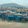 Responsible fishing in Vietnam continues