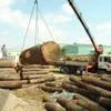 Vietnam enjoys trade surplus of wood products