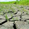 Vietnam pursues policies on climate change adaptation
