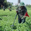 Bombs and mines remain in localities after the war