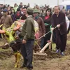 Deputy PM Truong Hoa Binh attends re-enacted field ploughing festival