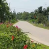 Dong Nai province’s rural district gets well-deserved makeover