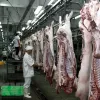 HCM City to open six cattle slaughterhouses