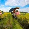 Mekong Delta province provides housing land for poor households