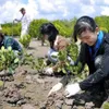 Tree planting festival on lunar New Year occasion launched