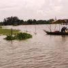 Flood waters bring hope and uneasiness to farmers in the Mekong Delta