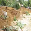 Dong Thap deals with landslides during flood season