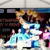 Vietnamese culture day held in Czech Republic