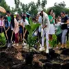 30,000 new trees to be planted across the country