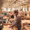 Strengthening control of origin of wood products