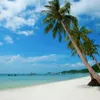 Phu Quoc - Host of World Travel Awards