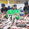 Opportunities for tra fish export sector