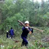 Double benefits from forests with FSC certification