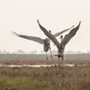 Photo exhibition calls for the need to protect nature