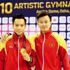 Gymnast Tung wins Vietnam’s second ticket to 2020 Tokyo Olympics