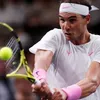 Nadal marches on in Paris, Djokovic wins