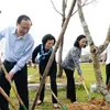 Over 100 thousand trees given to Binh Dinh