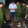 Rescue centre receives two baby tigers from Ha Tinh police