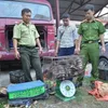 Dien Bien police seize large amount of trafficked wildlife animals